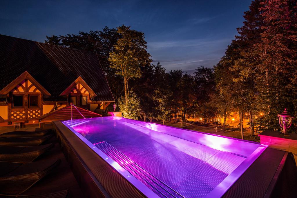 Palac Margot Nature&Spa Resort Karpacz